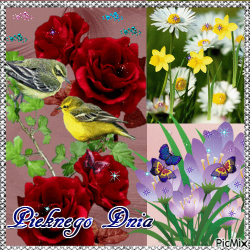 Pięknego dnia życzą ptaszki i motylki